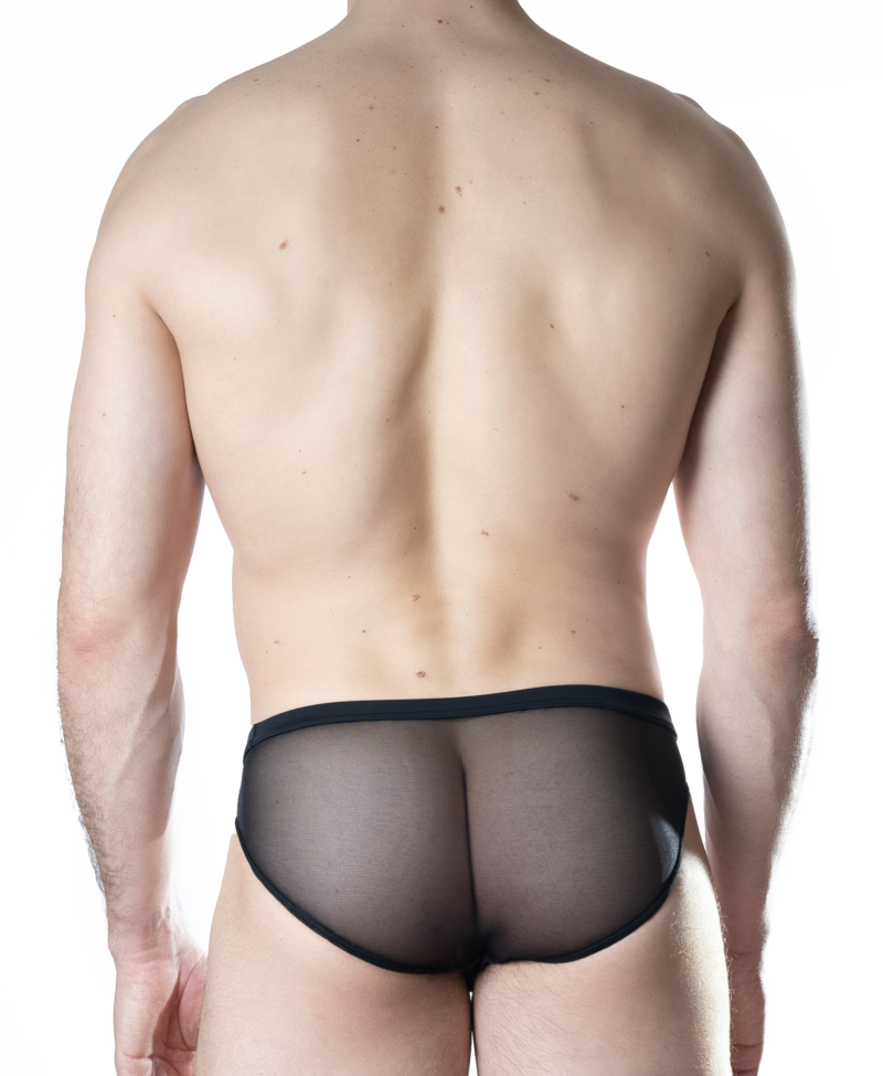 MESH BRIEFS – Image 2